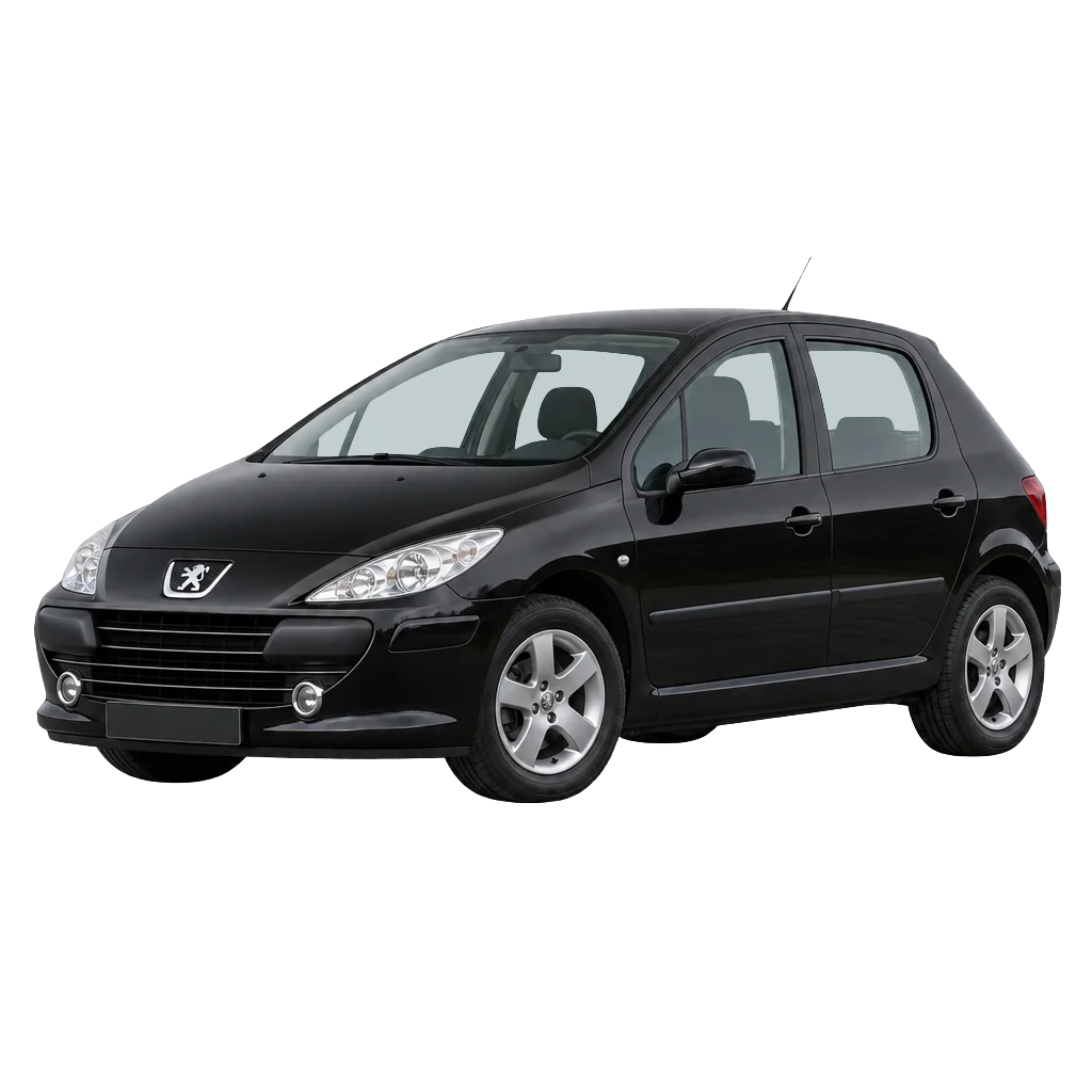 Peugeot 307 side view